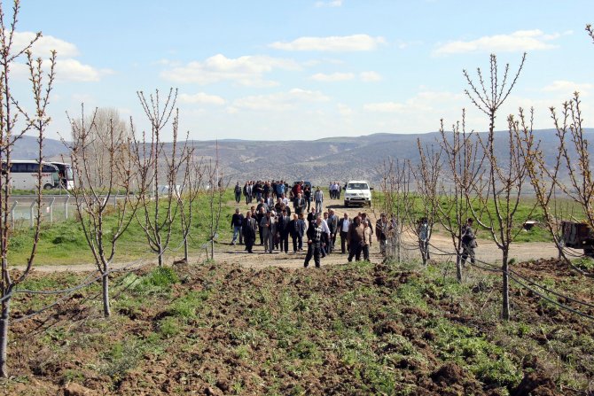 Doğanşar’da, "Meyveciliği Geliştirme Projesi"
