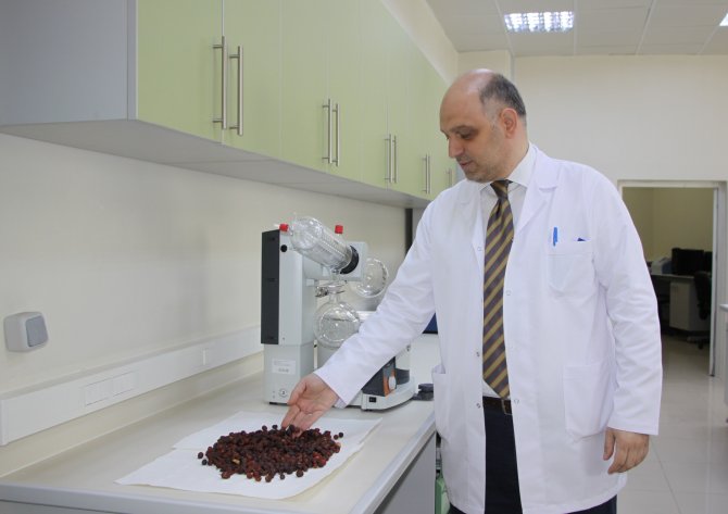 Kuşburnu, Kırmızı Ve Karadut Şifa Kaynağı