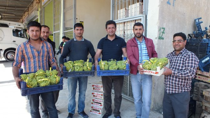 Örtü Altı Üzüm Üreticinin Yüzünü Güldürdü