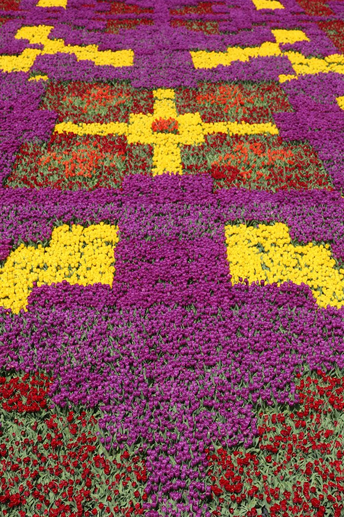 Sultanahmet Meydanı'na 545 Bin Laleden Halı Motifi