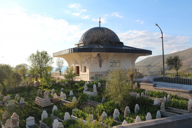 Tillo'da "Ağaçlı Türbe"