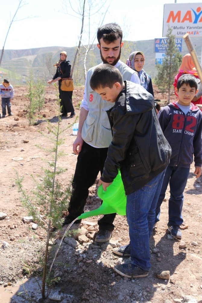Aksaray'da Yetimler Fidan Dikti