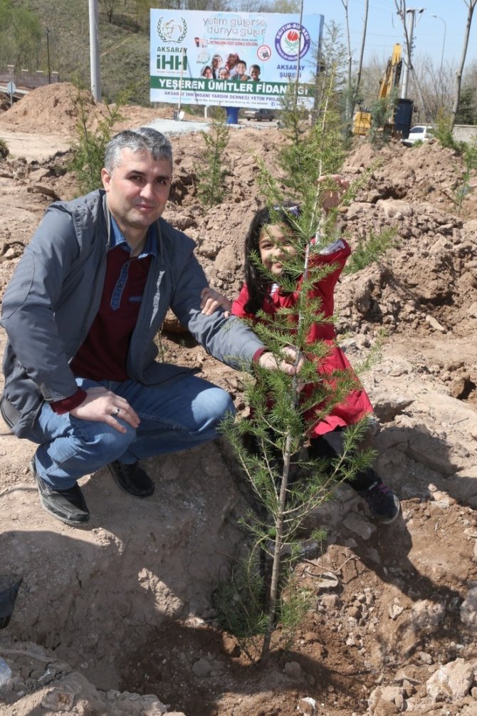 Aksaray'da Yetimler Fidan Dikti