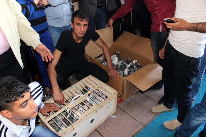 Bakanlar Eker Ve Yılmaz, Diyarbakır'da