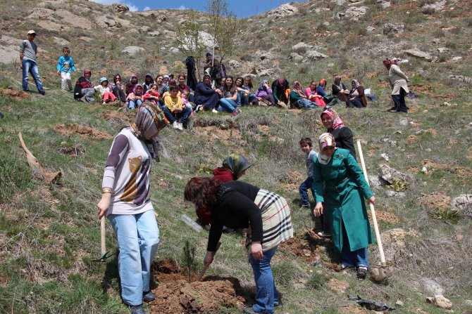 Ecem Zaralı Kadınlar Derneği Fidan Dikti