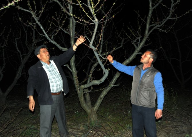 Ürünlerini Pervaneyle Donmaktan Koruyorlar