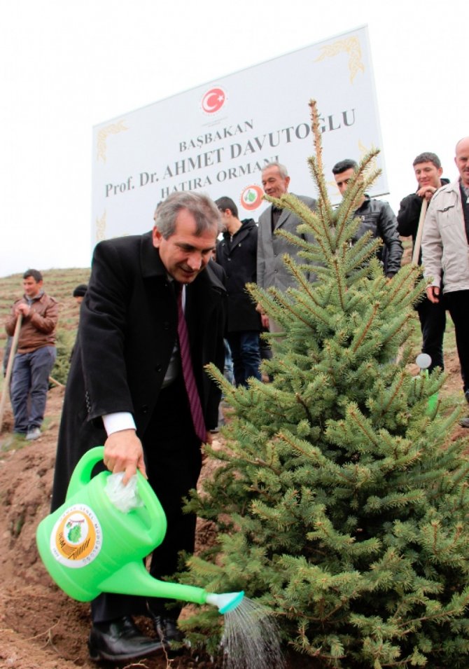 Başbakan Davutoğlu Adına Hatıra Ormanı