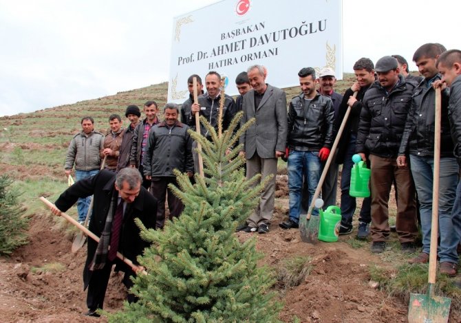 Başbakan Davutoğlu Adına Hatıra Ormanı
