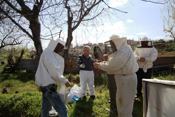 Çubuk’ta Arıcılara Uygulamalı Eğitim Veriliyor