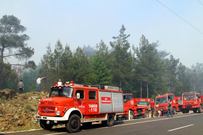 Muğla'da Orman Yangını