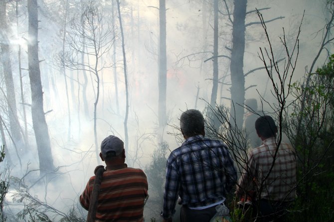 Muğla'daki Orman Yangını