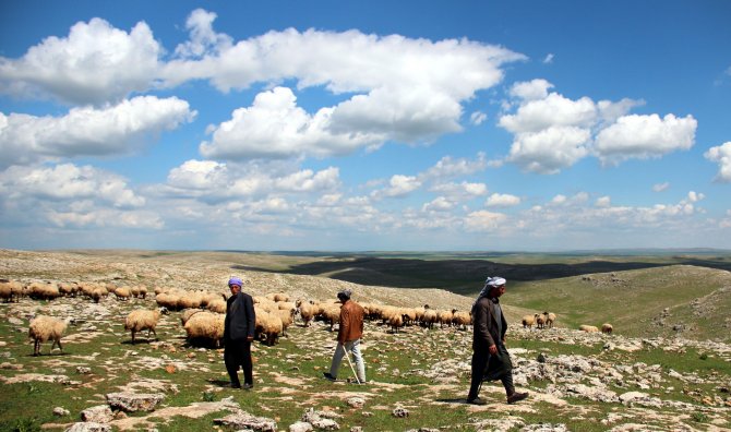 Yağışlar, Besicilerin Yüzünü Güldürdü