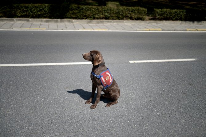 Bu Timin "Burnundan" Bir Şey Kaçmıyor