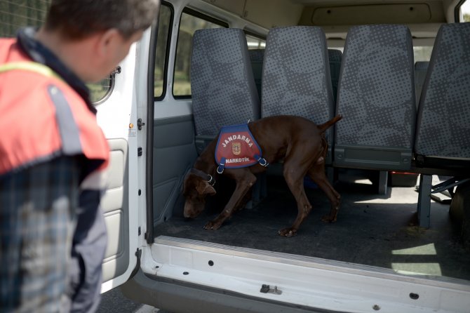 Bu Timin "Burnundan" Bir Şey Kaçmıyor