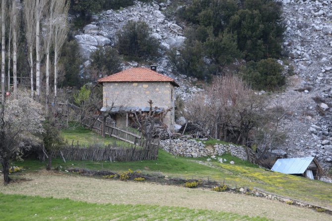 Denizli'de Yaşlı Çift Gasbedildi