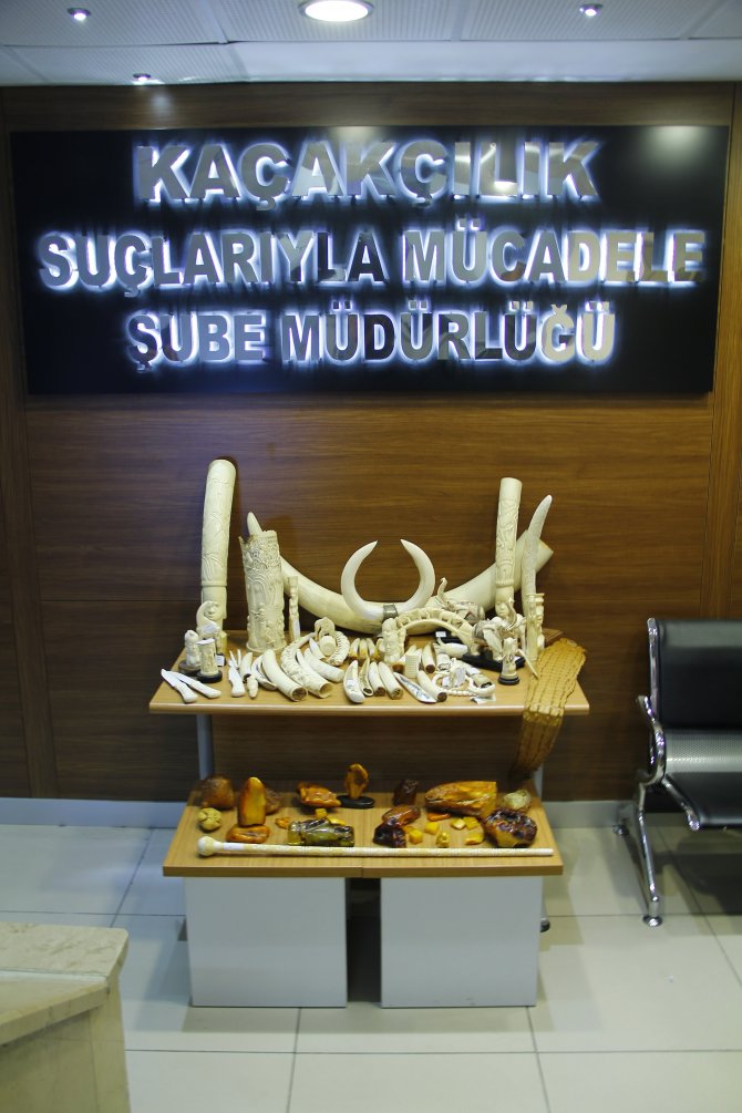 İstanbul'da "Fildişi" Operasyonu