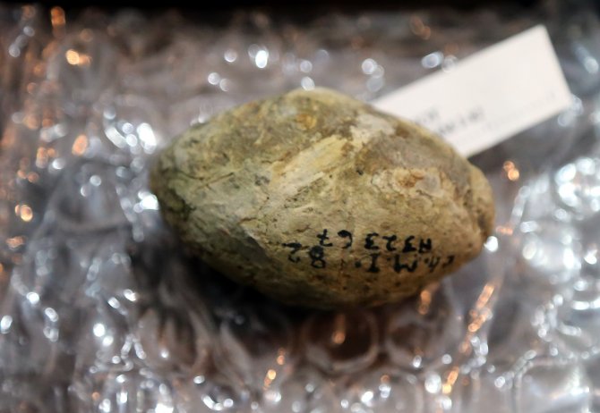 Abd, İran’a Ait 108 Parça Tarihi Eseri İade Etti