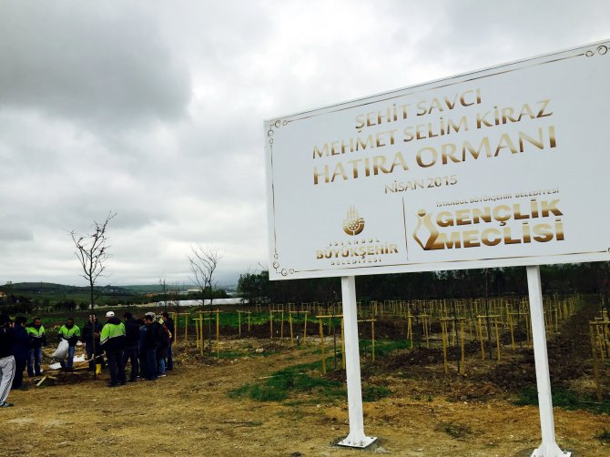 Şehit Savcı Kiraz İçin Hatıra Ormanı