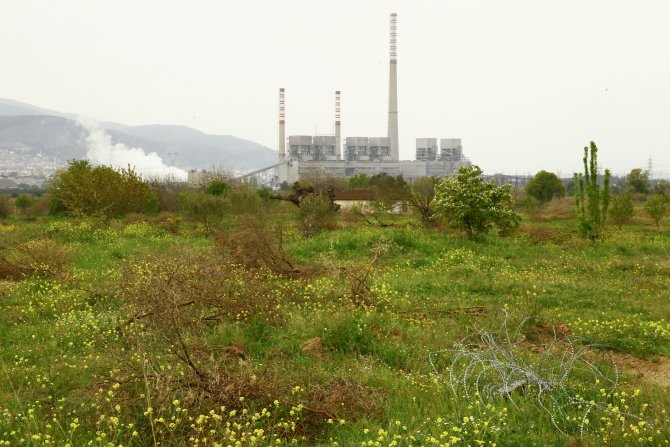 Soma'daki Maden Faciası Davası