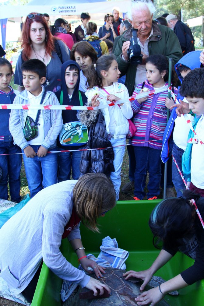 35. Uluslararası Deniz Kaplumbağaları Sempozyumu