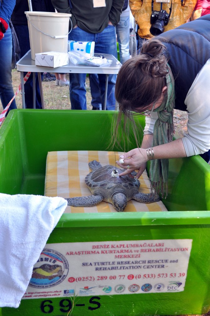 35. Uluslararası Deniz Kaplumbağaları Sempozyumu