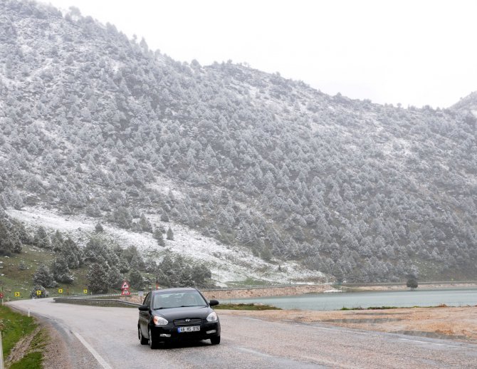 Kar Yağışı Ve Soğuk Hava Kayısı Bahçelerini Etkiledi