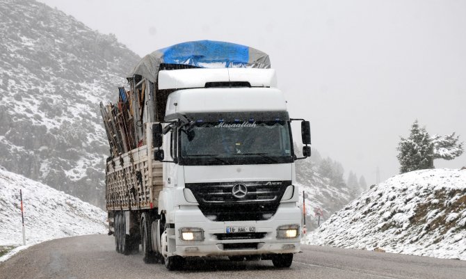 Kar Yağışı Ve Soğuk Hava Kayısı Bahçelerini Etkiledi