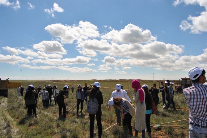Kulu Belediyesi'nden Fidan Dikim Etkinliği