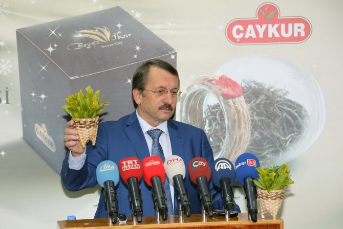 Çaykur Genel Müdürü Sütlüoğlu: