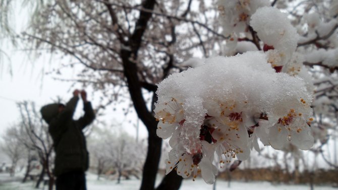 Doğu'da Kar Yağışı