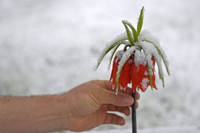 Doğu'da Kar Yağışı