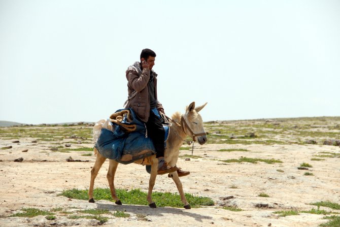 Telefonun Şarjı Eşek Sırtındaki Güneş Panelinden