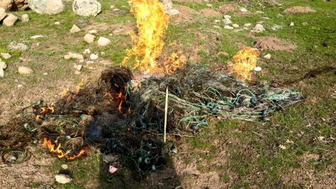 Seydişehir'de Dipsiz Gölet'ten Toplanan Misina Ağlar İmha Edildi