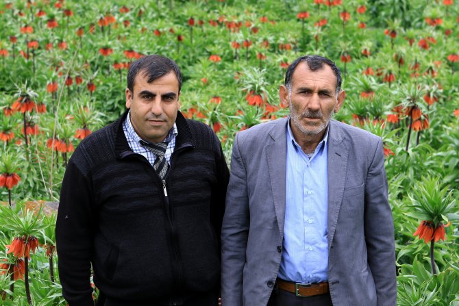 Köylülerin "Ters Lale" Nöbeti