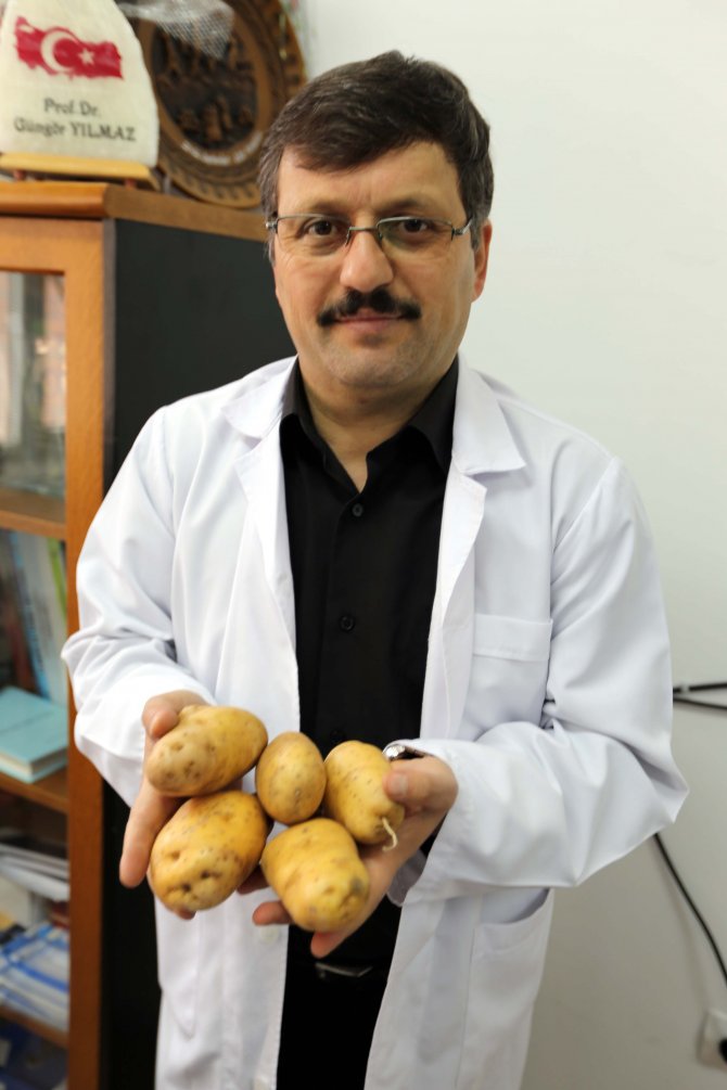 "Patateste Makul Fiyat İçin Yıllık 5 Milyon Ton Üretim Şart"