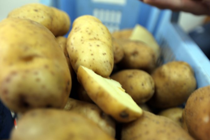 "Patateste Makul Fiyat İçin Yıllık 5 Milyon Ton Üretim Şart"