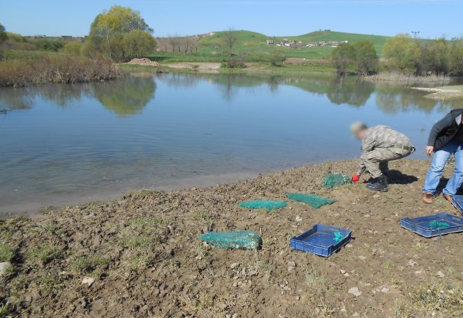 Diyarbakır'da Kurbağa Kaçakçılığı