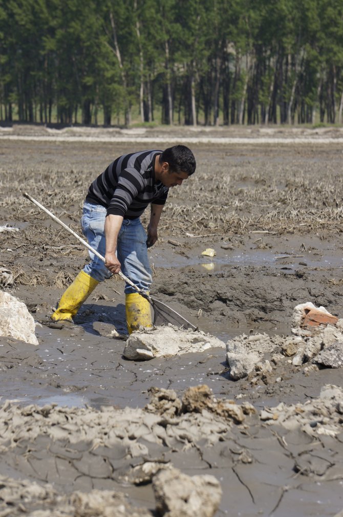 Tarlalardan Balık Tutuyorlar