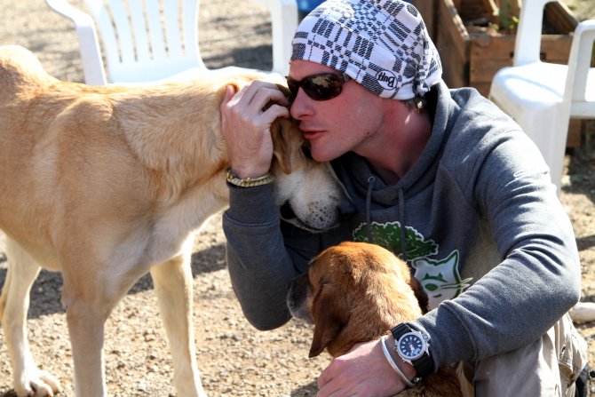 Sokak hayvanları için Kilimanjaro'ya tırmanacak