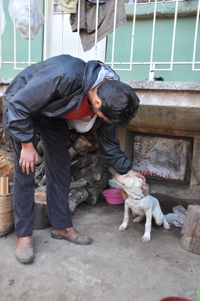 Türkiye'nin üçüncü çift kol nakli