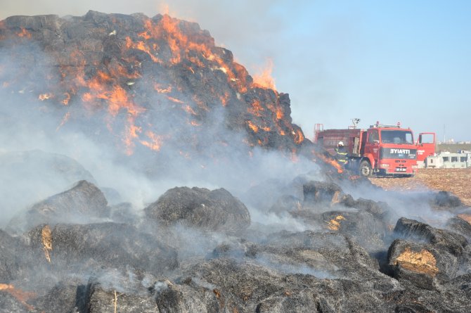Adıyaman'da hayvan çiftliğinde yangın
