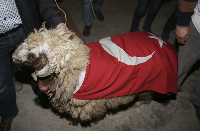 Başbakan Davutoğlu, Mardin'de