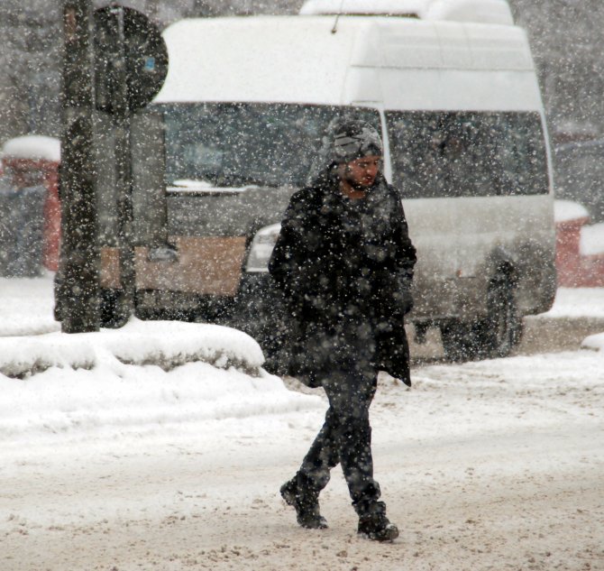 Erzurum'da kar yağışı