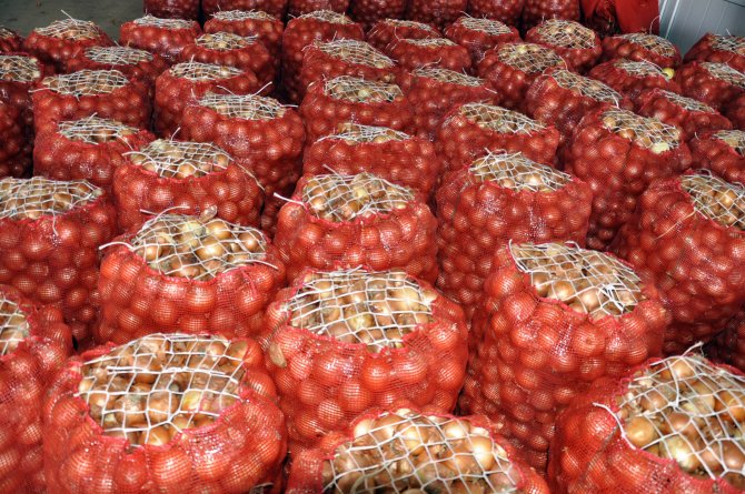 Kuru soğanın fiyatı arttı