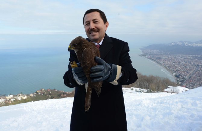 Ordu'da tedavileri tamamlanan şahinler doğaya bırakıldı