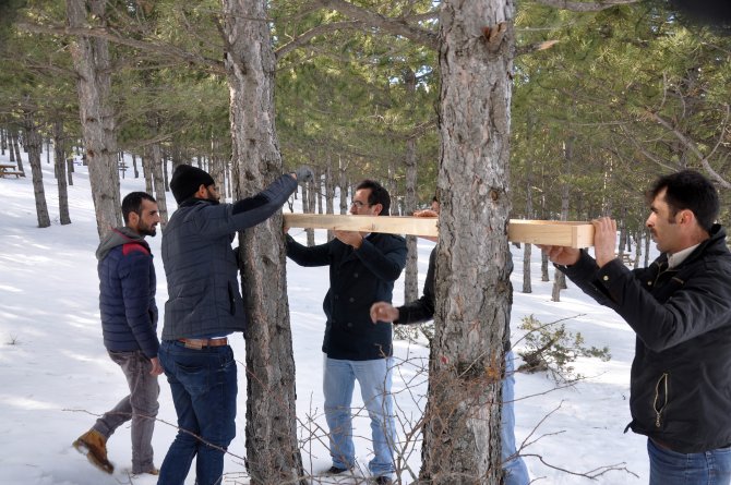 Suşehri Belediyesi doğadaki kuşlar için yemlik yaptı