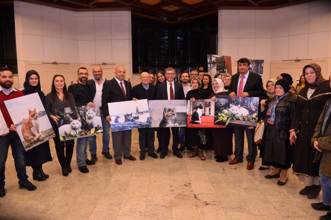 "Dikkat Kedi Çıkabilir" sergisi