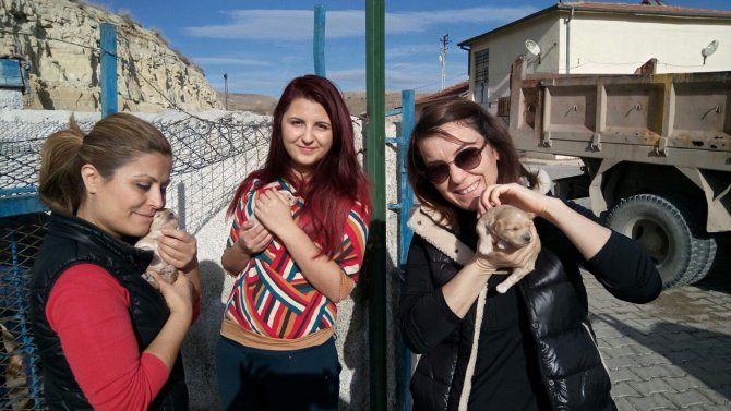 Hayvanseverler Avanos'taki hayvan barınağını ziyaret etti
