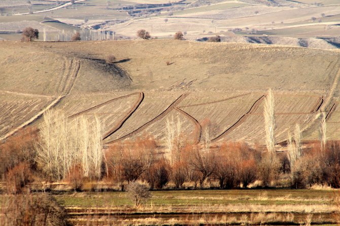 Cumhurbaşkanı Erdoğan sevgisini tarlasına yansıttı