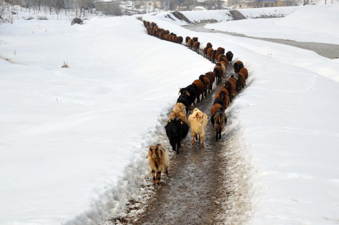 Doğu'nun kar çilesi sürüyor